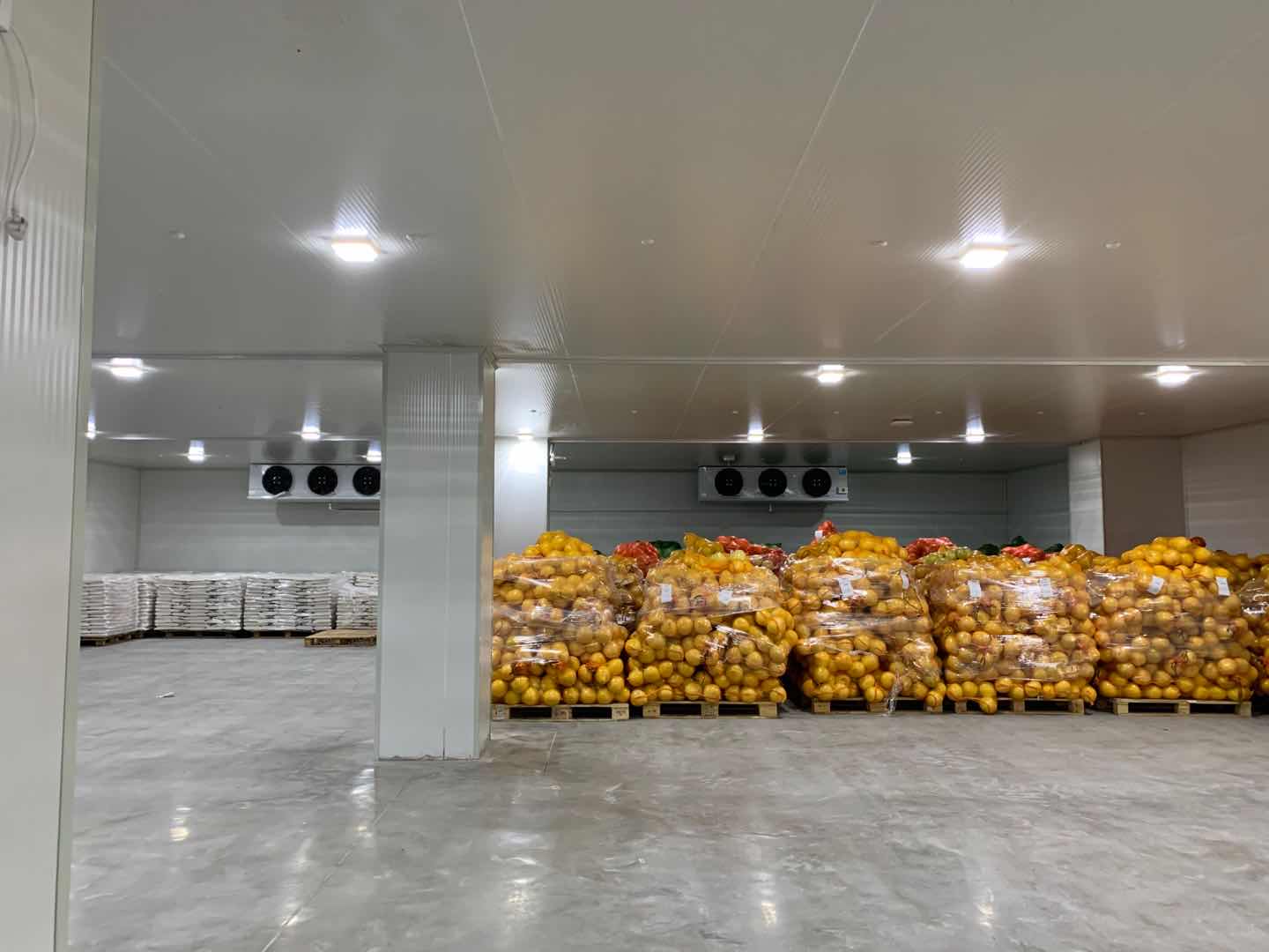 建一套農產品蔬菜保鮮冷庫安裝需要多少錢? 建一套農產品蔬菜保鮮冷庫安裝需要多少錢?