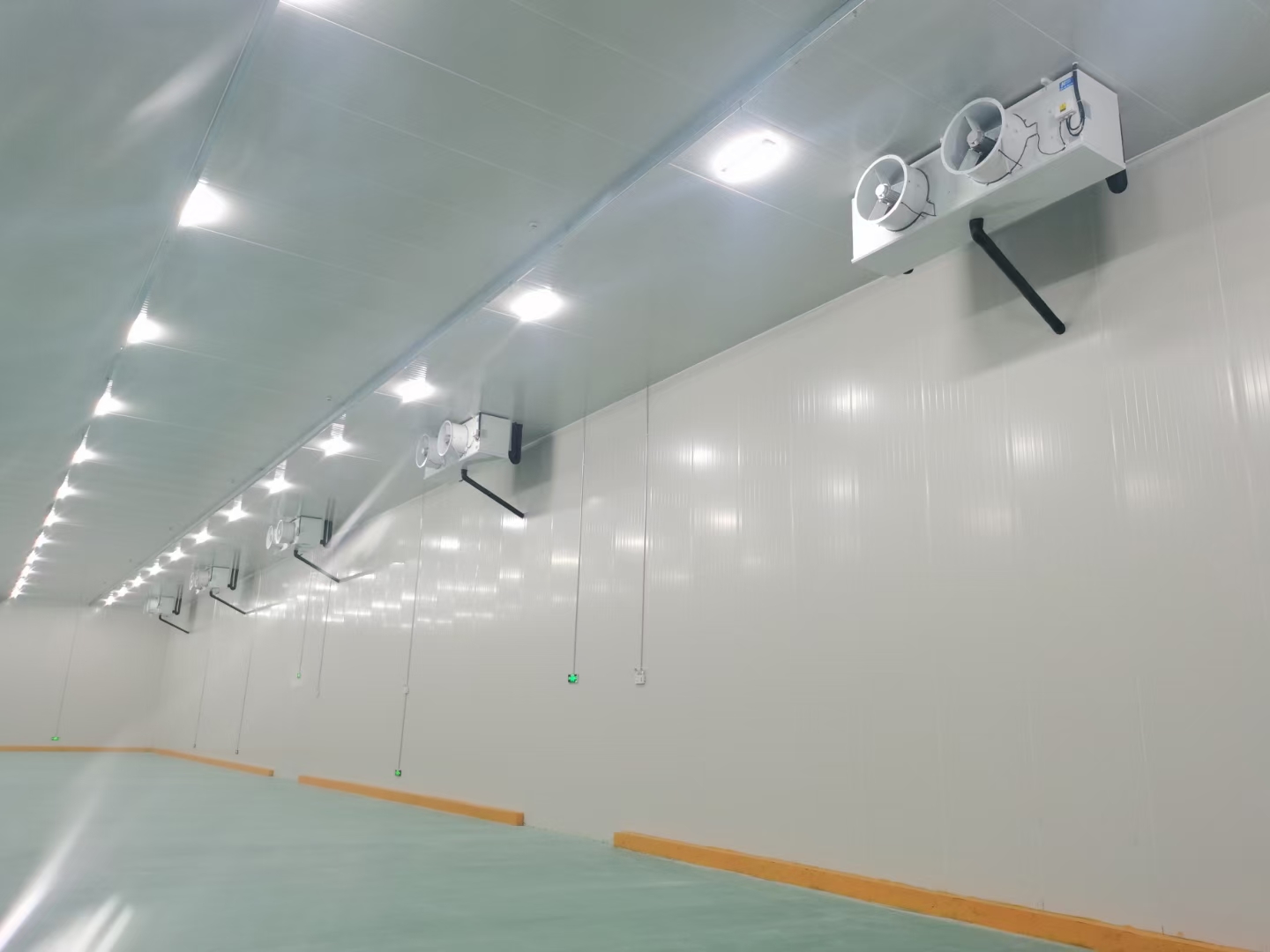 廣州建造500平低溫水產(chǎn)海鮮冷凍庫安裝價格 廣州建造500平低溫水產(chǎn)海鮮冷凍庫安裝價格