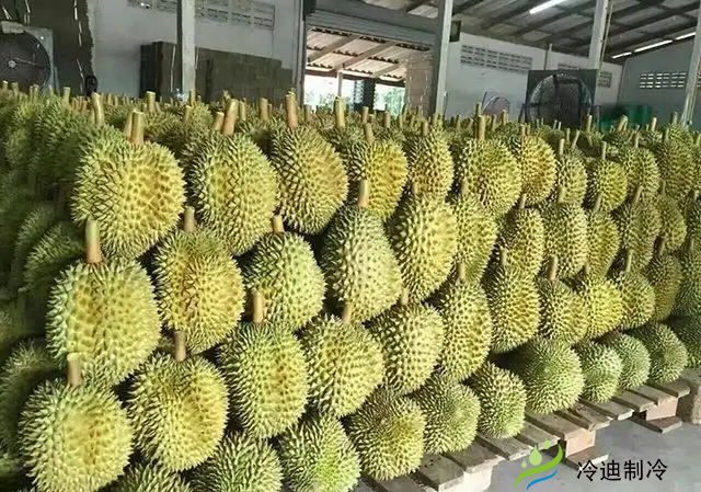 如圖所示榴蓮冷庫.web.jpg 如圖所示榴蓮冷庫.web.jpg