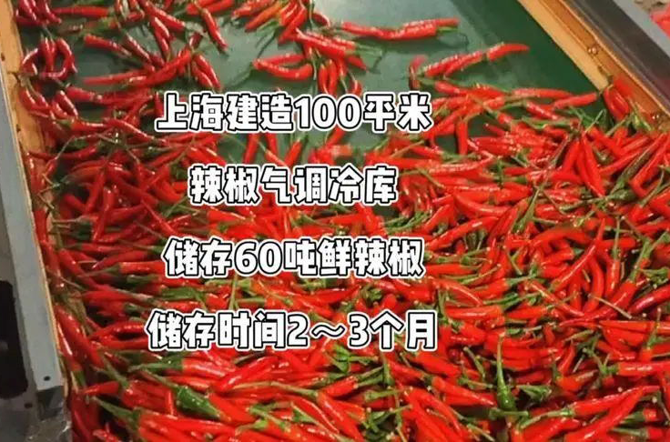 辣椒冷庫保鮮.png 辣椒冷庫保鮮.png