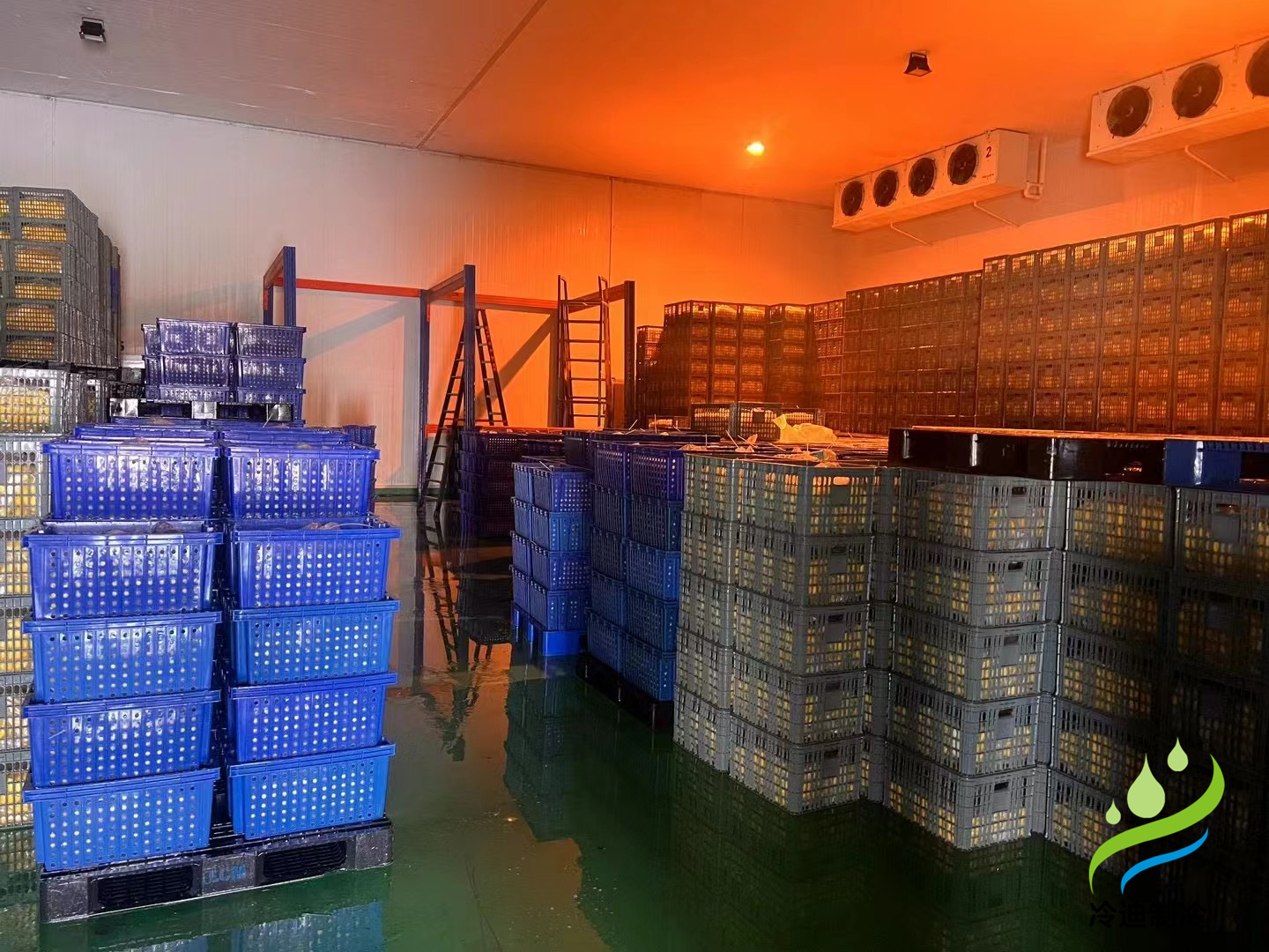 建造生鮮冷庫造價(jià)多少一立方？