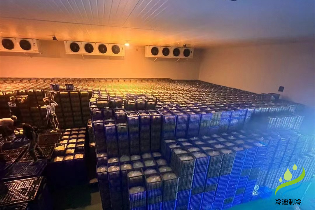 禽蛋類冷庫造價(jià)