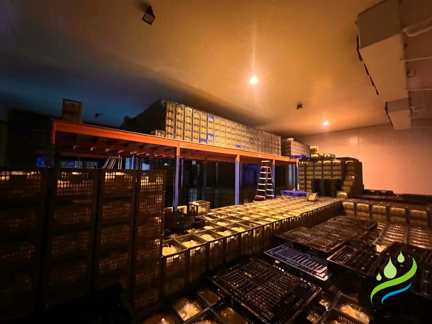 建造一個(gè)1000噸禽蛋類冷藏庫的成本是多少？