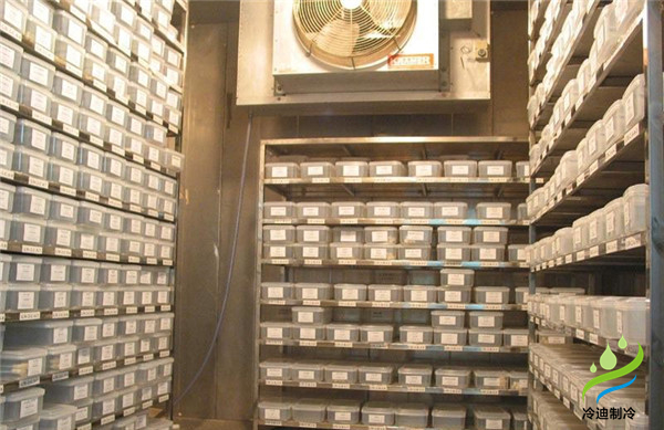 安裝一個(gè)小型種子冷庫大概要多少錢？