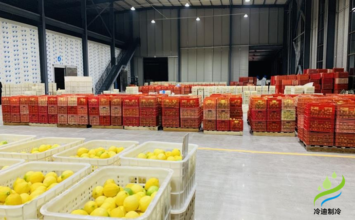 建造一個橙子冷庫需要多少錢？(圖1)