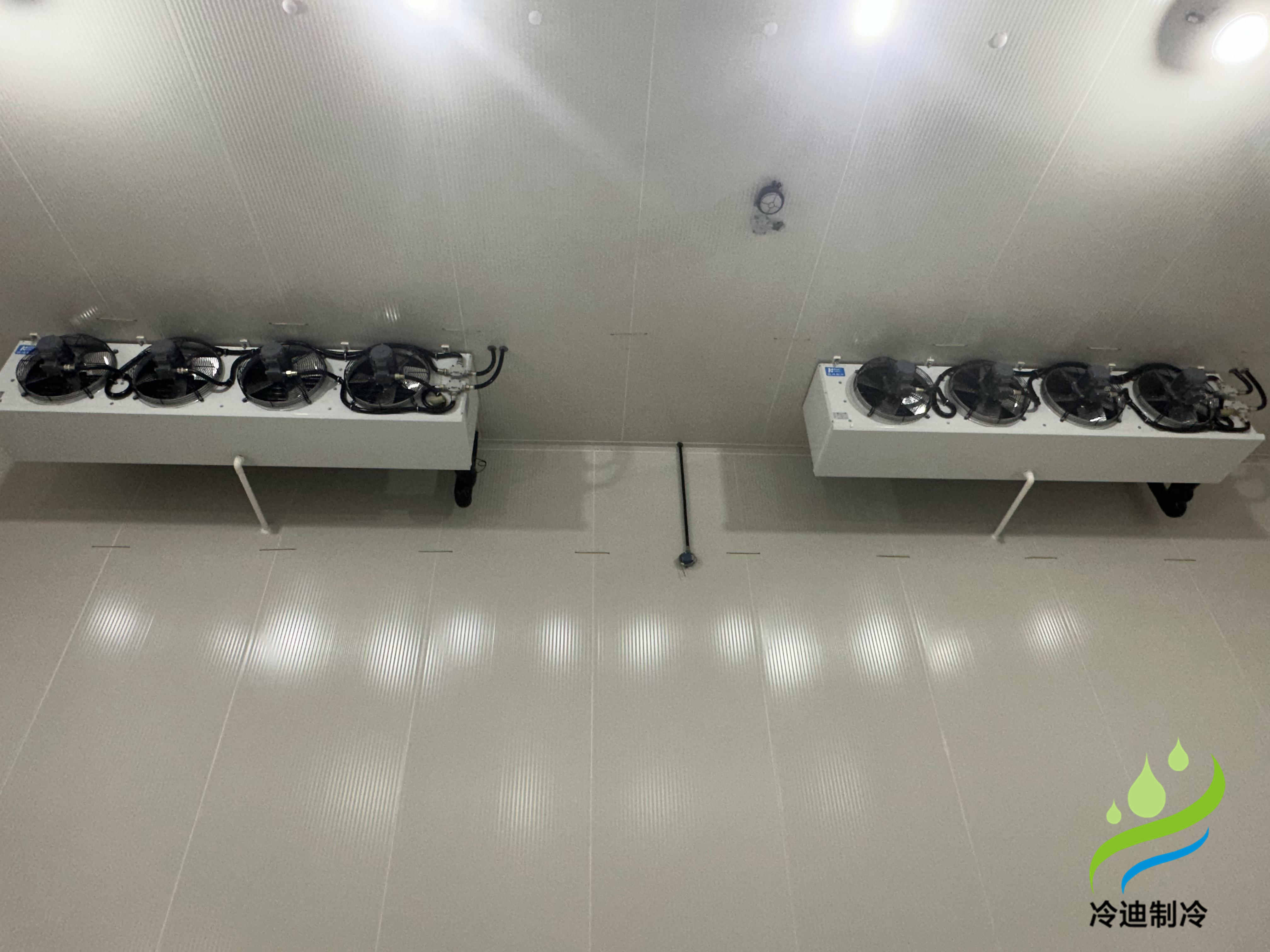 10000立方米防爆冷庫工程建造