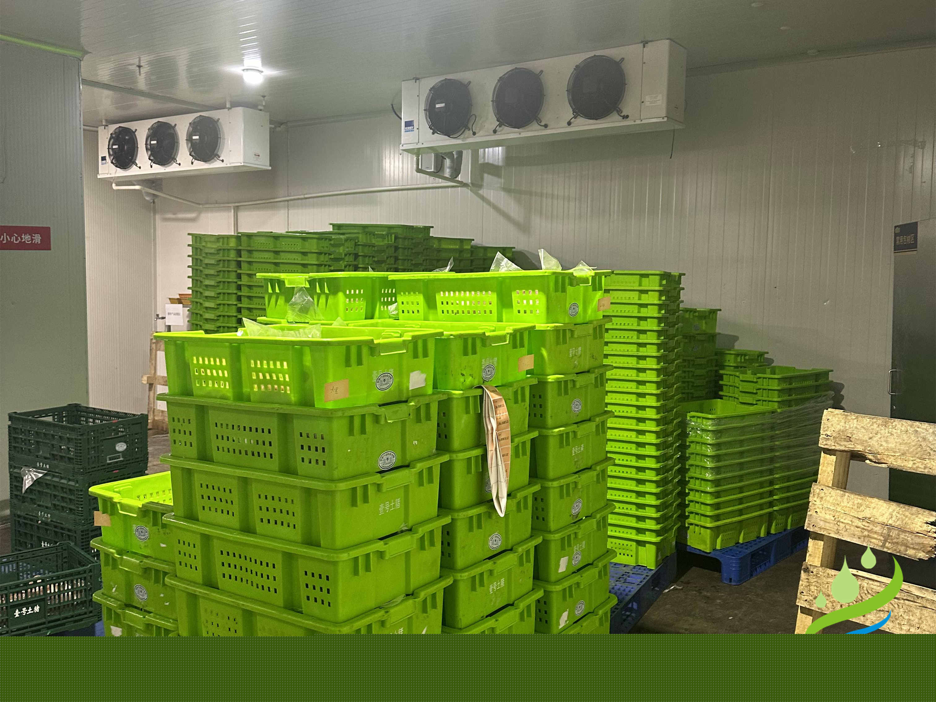 建造一座30噸冷庫造價需要多少錢？